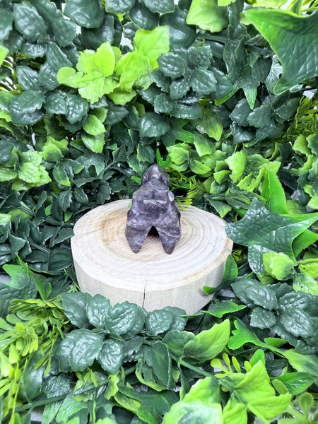 Amethyst Dino Skull