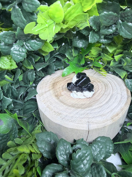 Black tourmaline in feldspar
