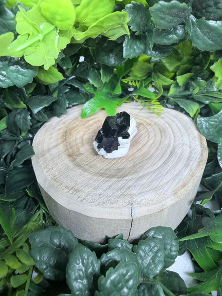 Black tourmaline in feldspar