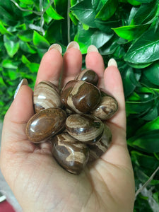 Chocolate Jasper Tumble