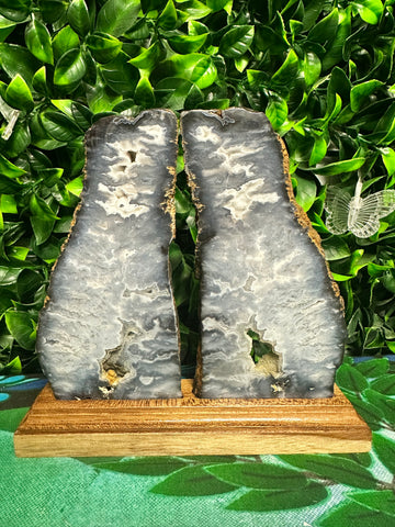 Blue Plume Agate display slabs