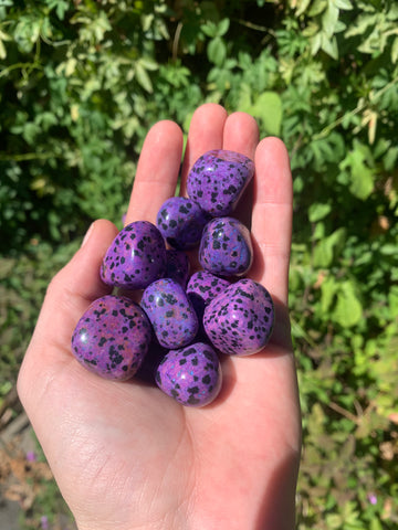 Purple Dalmatian Jasper