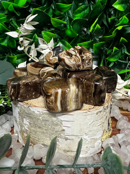 Chocolate Jasper Cubes