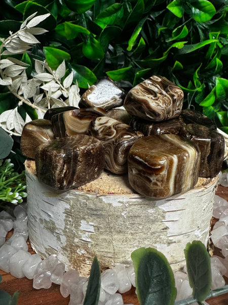 Chocolate Jasper Cubes