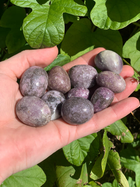 Unicorn stone tumbles