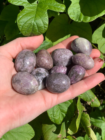 Unicorn stone tumbles