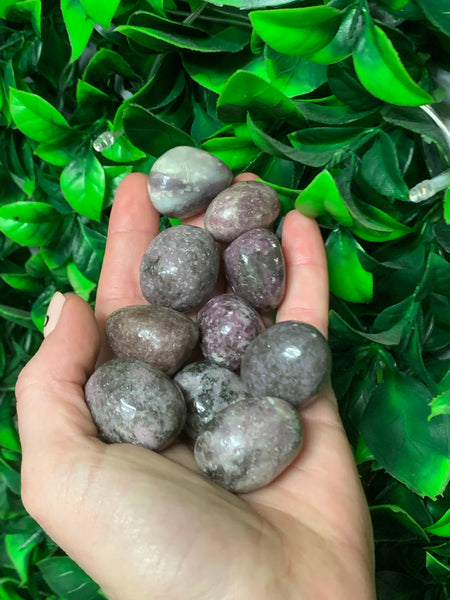 Unicorn stone tumbles