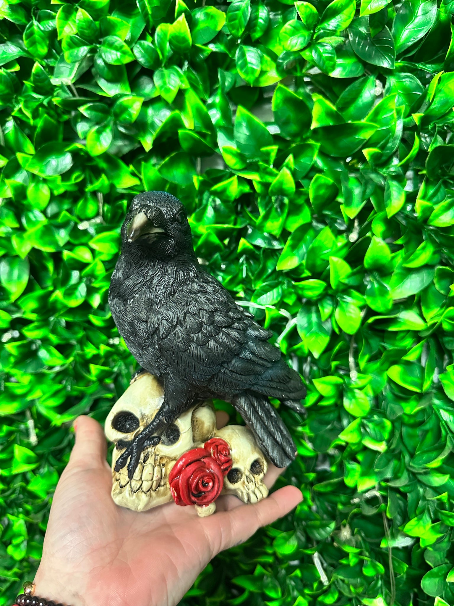 Raven standing on skulls