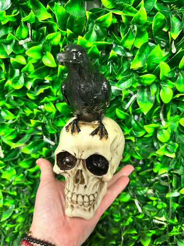 Skull with Raven sitting on top