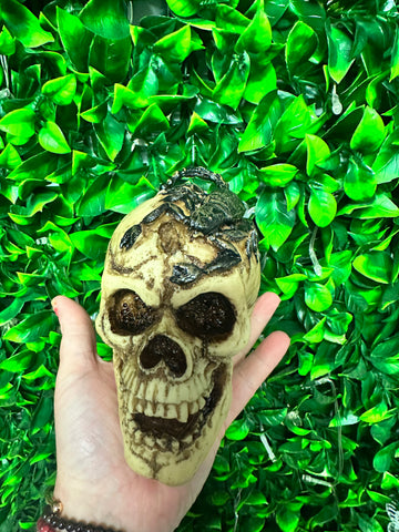 Skull with Scorpion