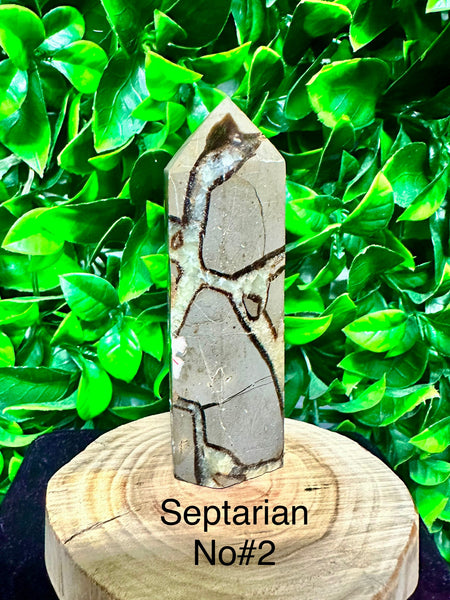 Septarian Tower
