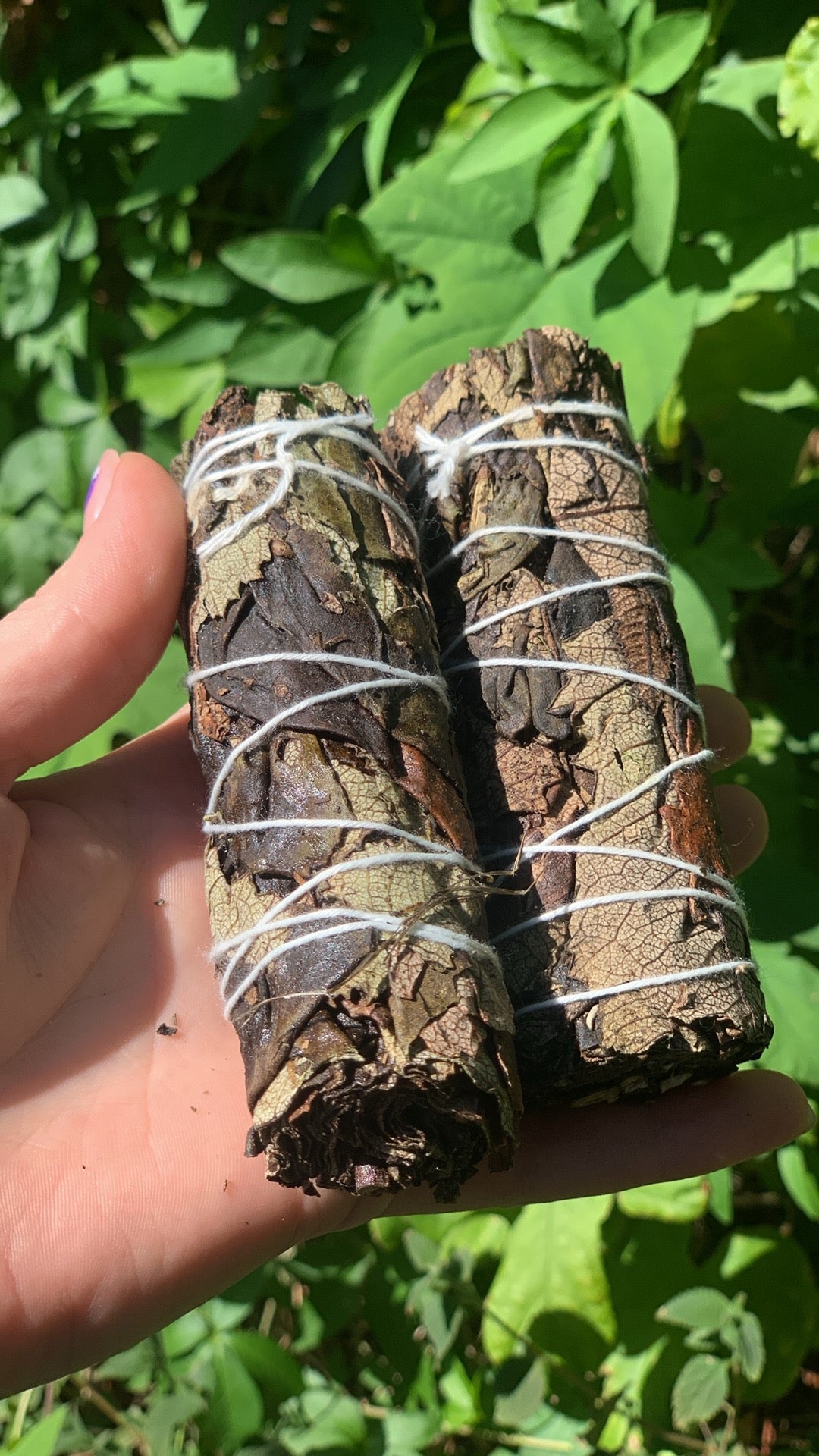 Black Sage Smudge Stick