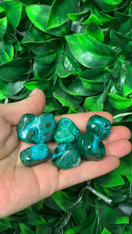 Malacholla Tumble Stone