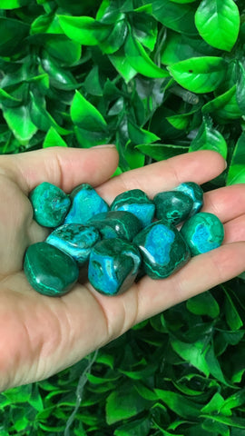 Malacholla Tumble Stone