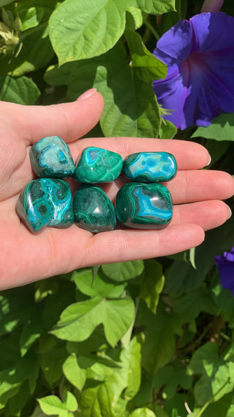 Malacholla Tumble Stone