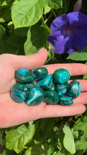 Malacholla Tumble Stone