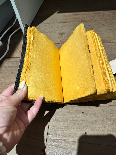 Book Of Shadow - Journal