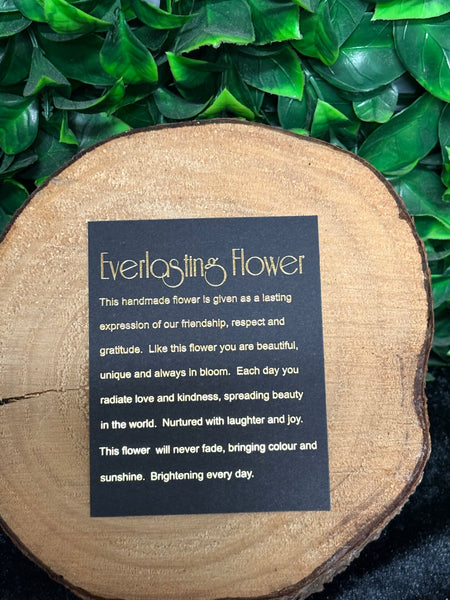 Everlasting Flower with Stand