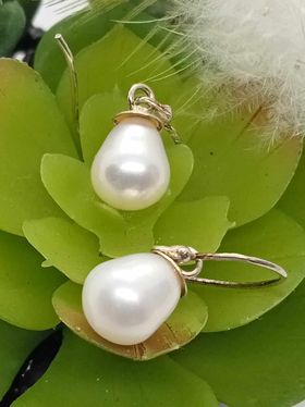 Pearl Earrings