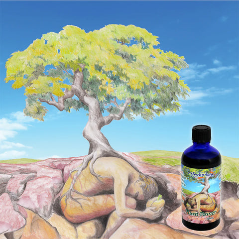 Plant Power Body Rub