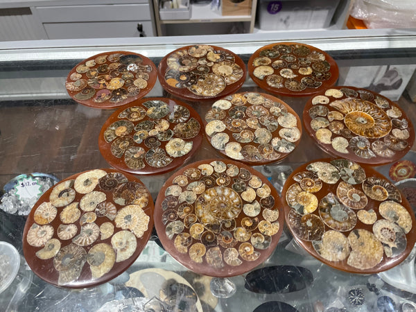 Ammonite disks