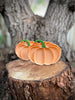 Pumpkin mini bio tray