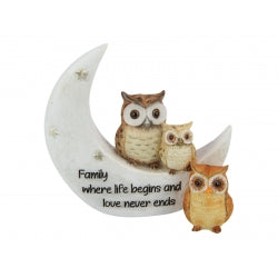Owl Family on Moon