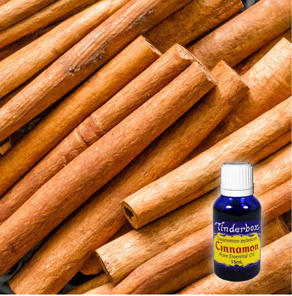 Cinnamon Bark Essential Oil 15mL