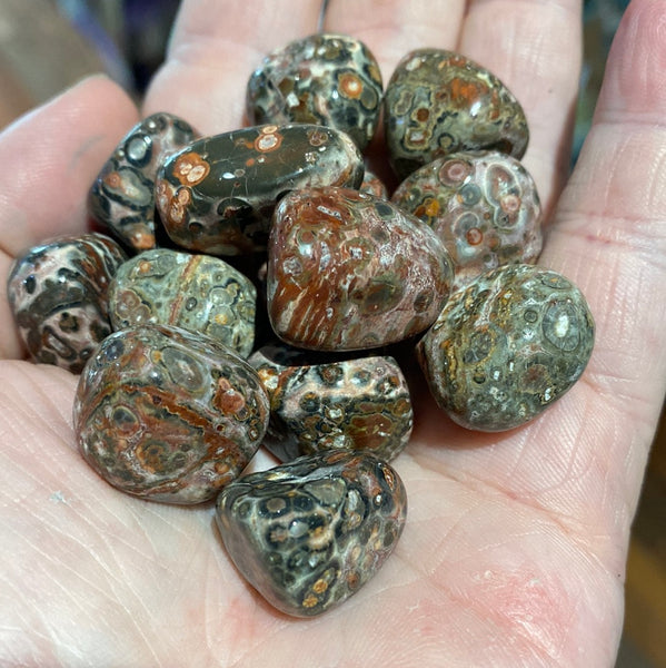 Leopardskin Jasper Tumbled