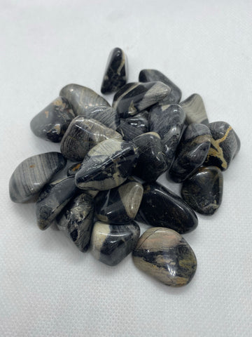 Silver Leaf Jasper Tumbled