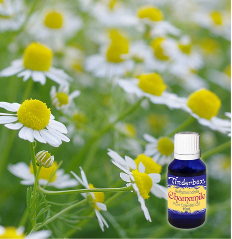 Chamomile Essential Oil 15mL (Roman)