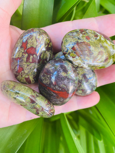 Dragons Blood Palm Stone