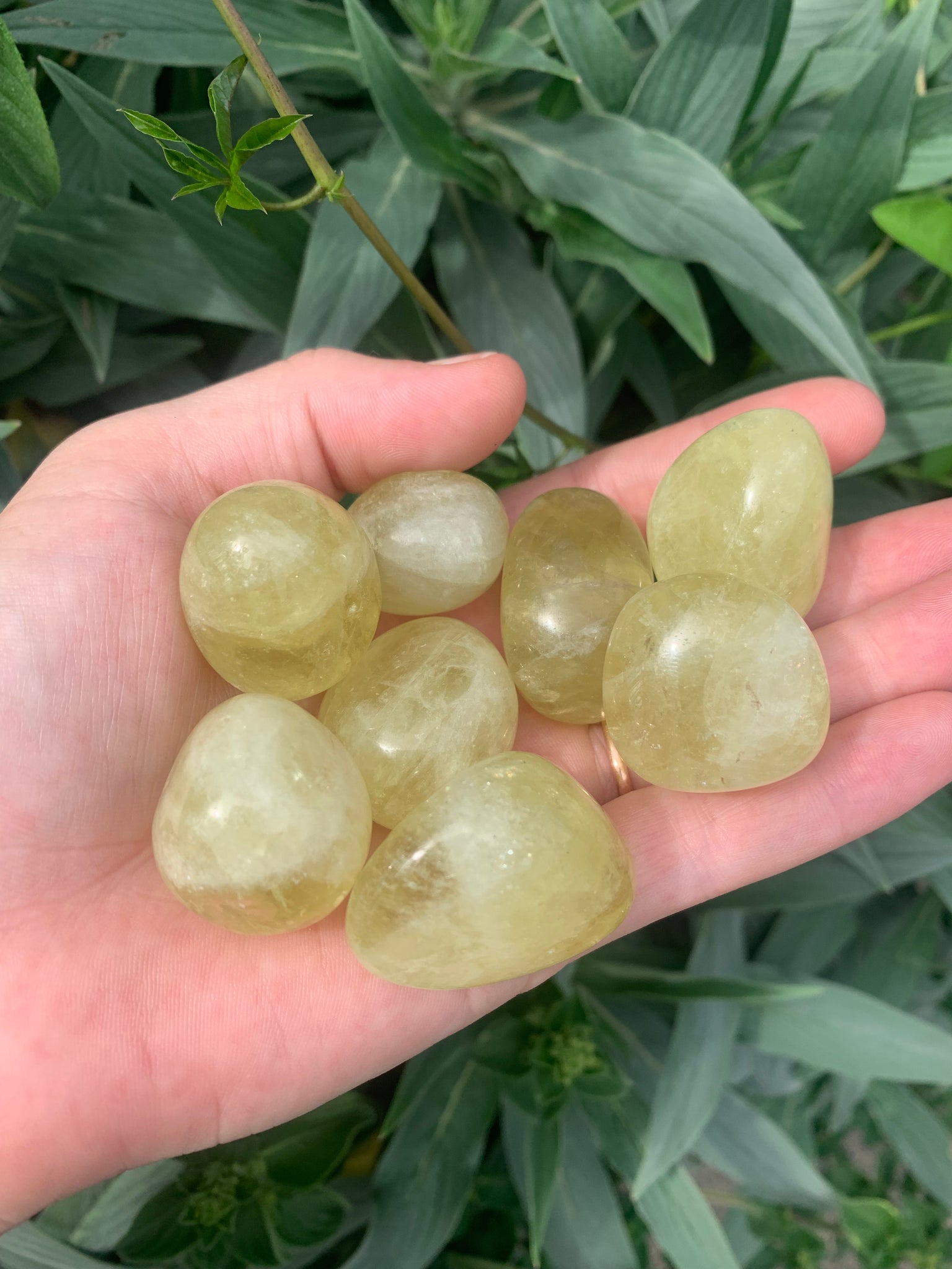 Citrine Tumble