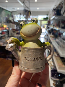 Frogs in pots