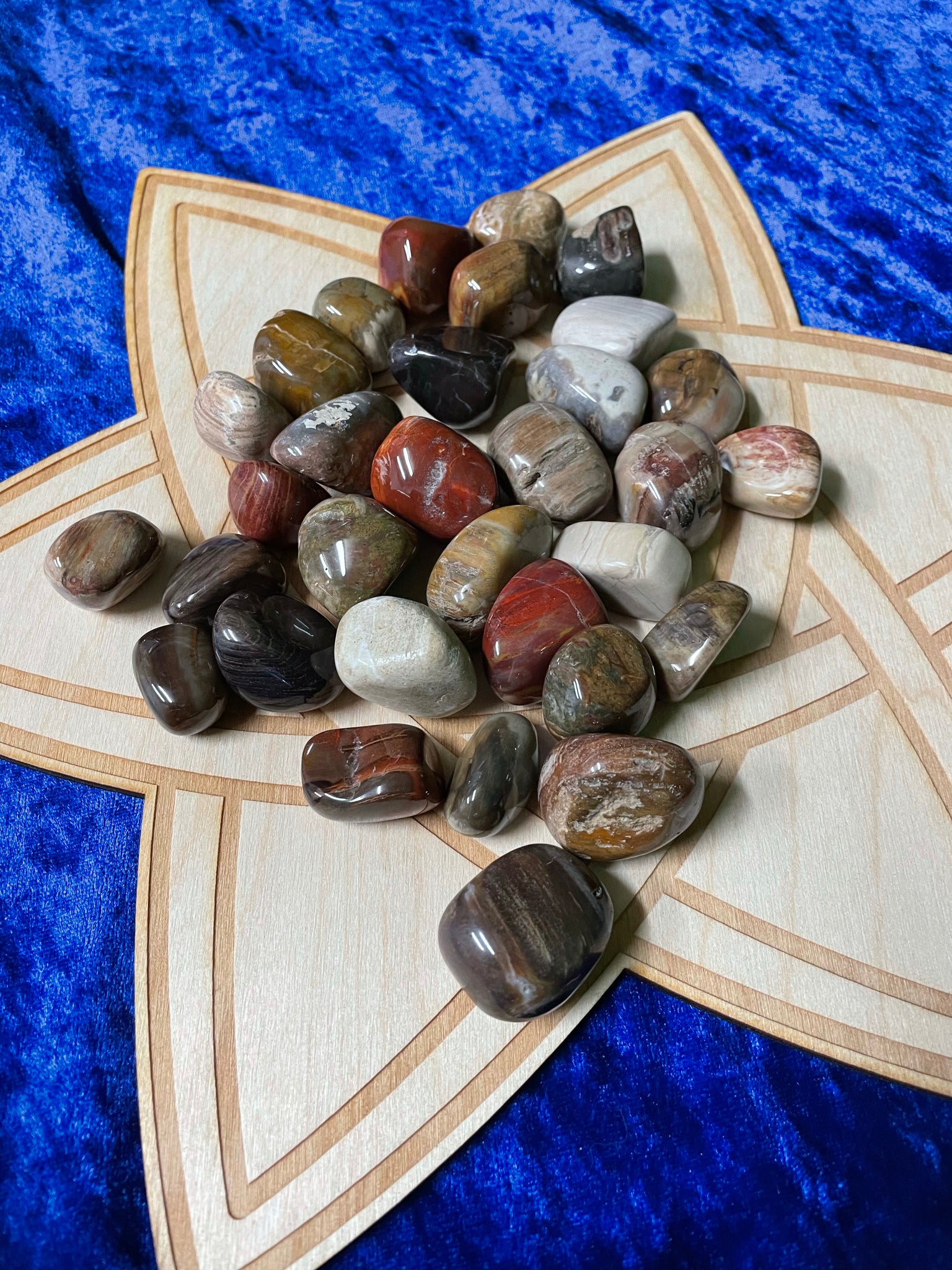 Petrified Wood Tumble Stones
