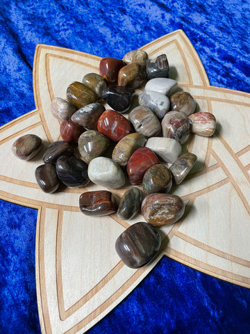 Petrified Wood Tumble Stones