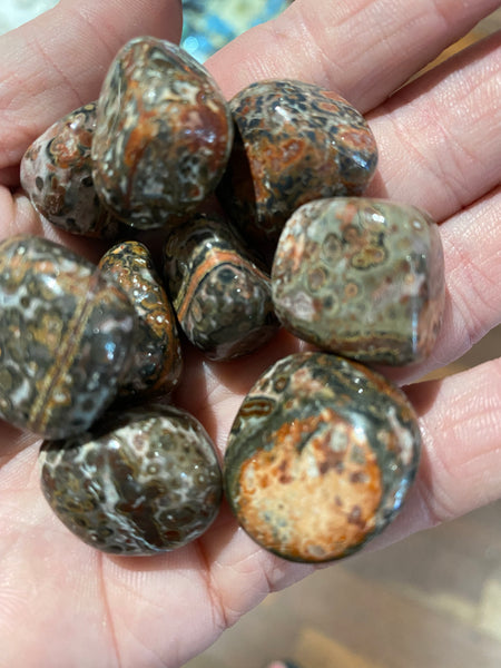 Leopardskin Jasper Tumbled