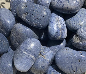 Blue Coral Tumbled