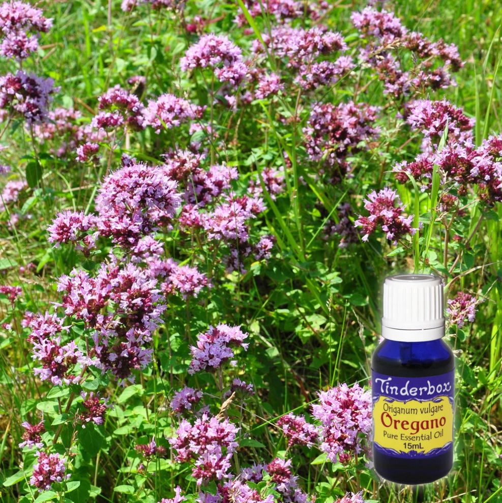 Oregano Essential Oil 15mL