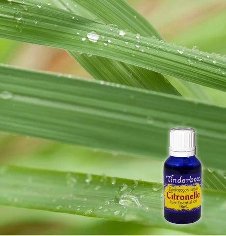 Citronella Essential Oil 15mL