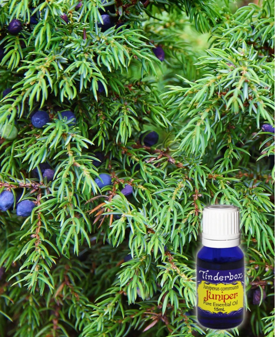 Juniper Berry Essential Oil 15mL