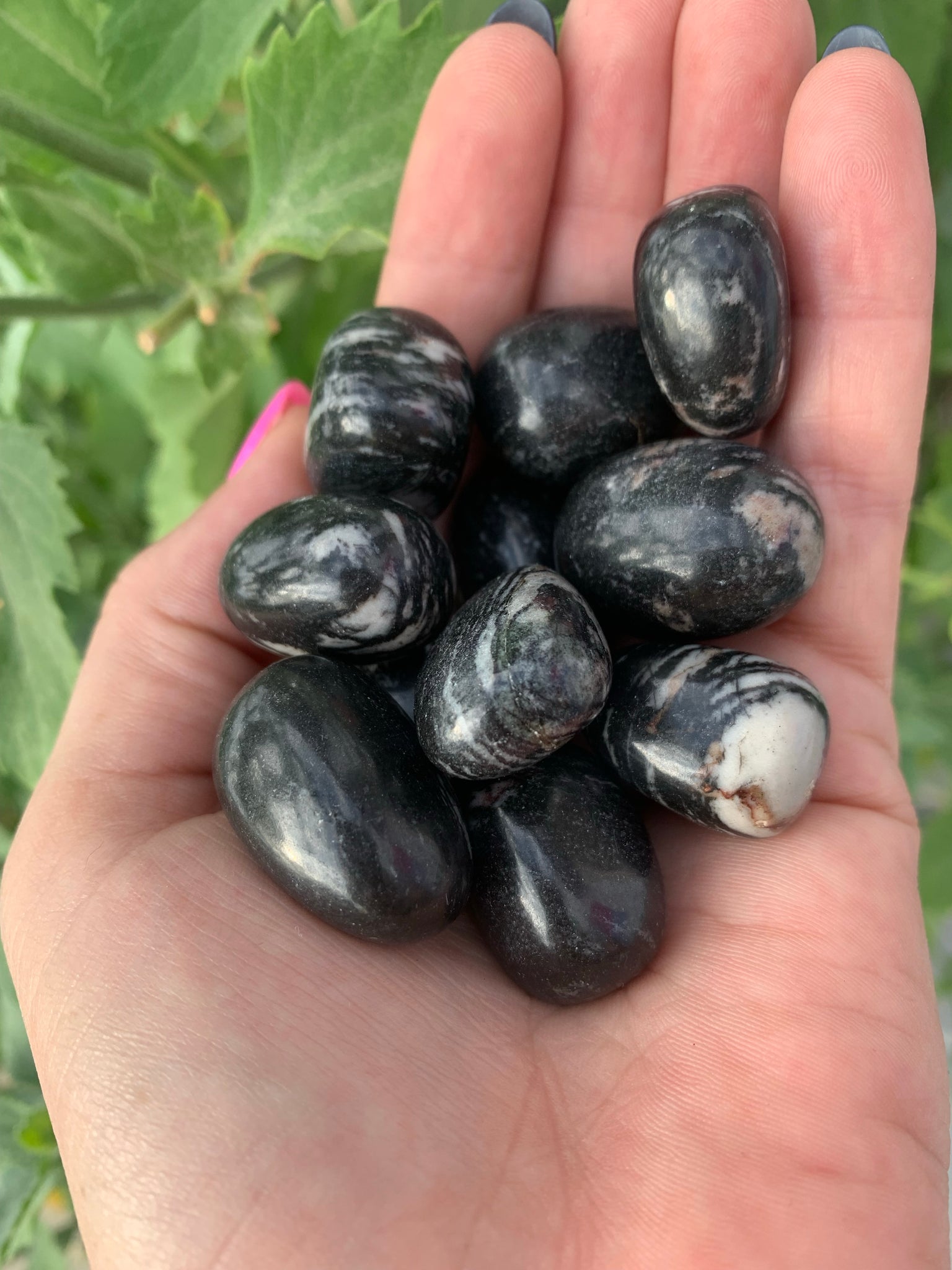 Web Jasper Tumble