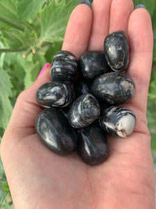 Web Jasper Tumble