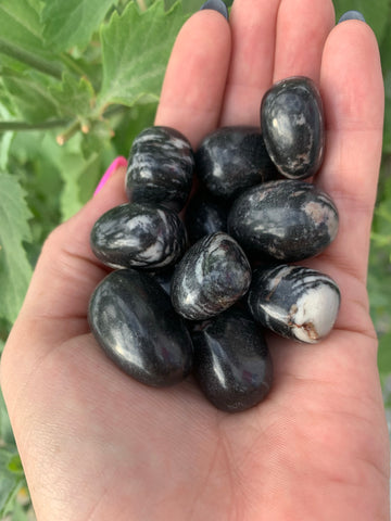Web Jasper Tumble