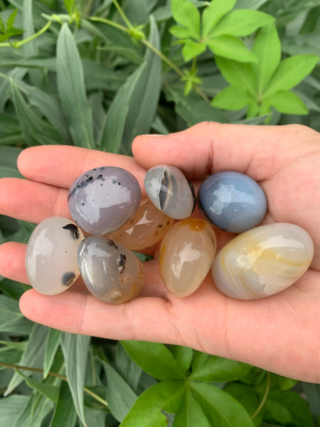 Dendritic Agate Tumbled