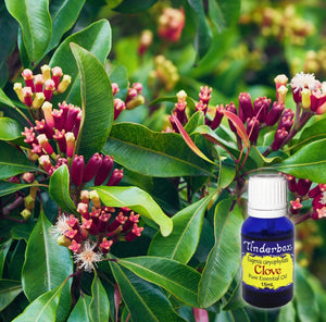 Clove Bud Essential Oil 15ml