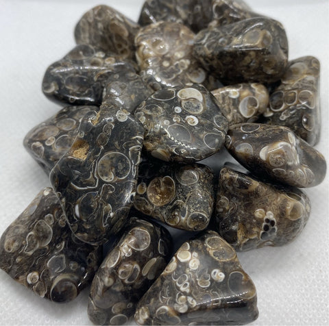 Turtella Jasper Tumbled
