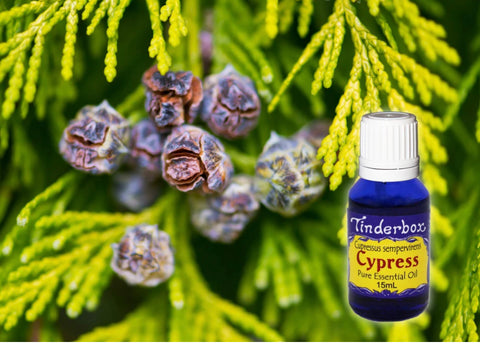 Cypress Essential Oil 15mL