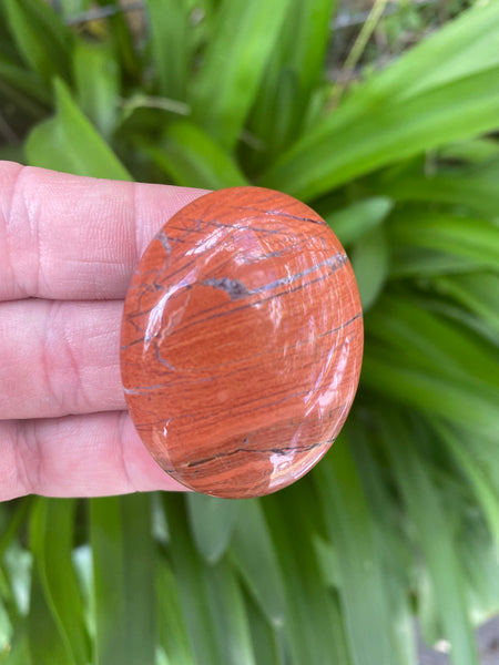 Snakeskin Jasper Palm Stone