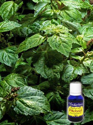 Patchouli Essential Oil